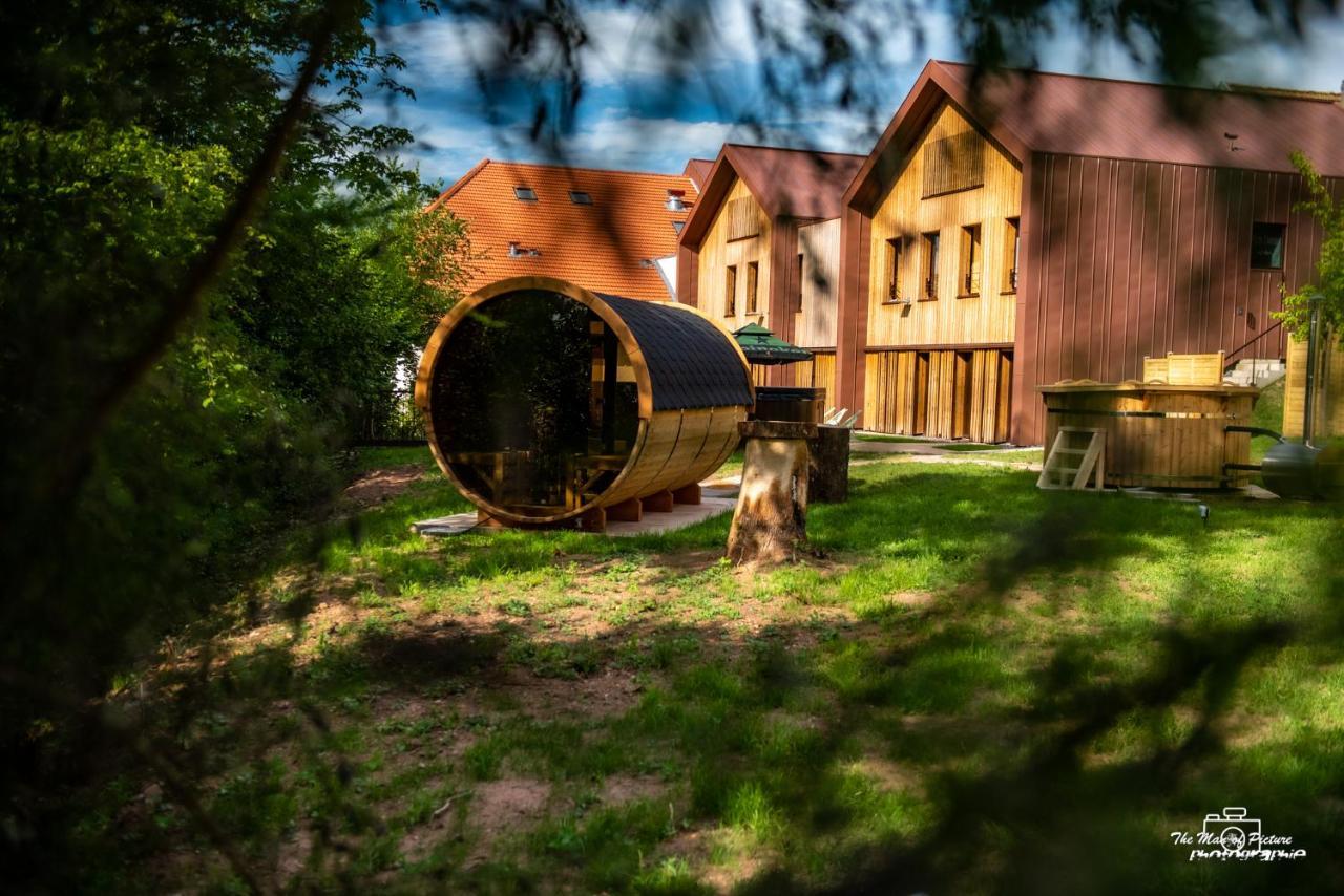Logis Hotel Altitude Et Spa Pierre-Percée Zewnętrze zdjęcie